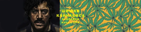 спиды Ладушкин