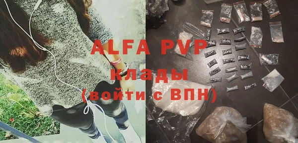 спиды Ладушкин